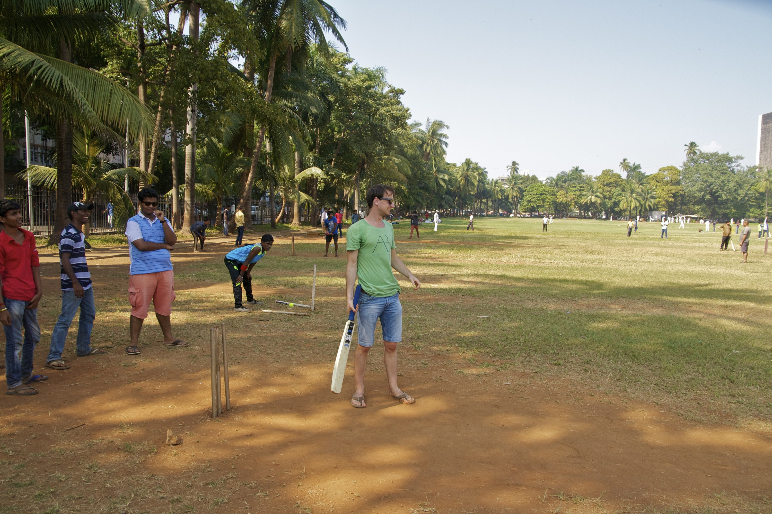 cricket-1.jpg