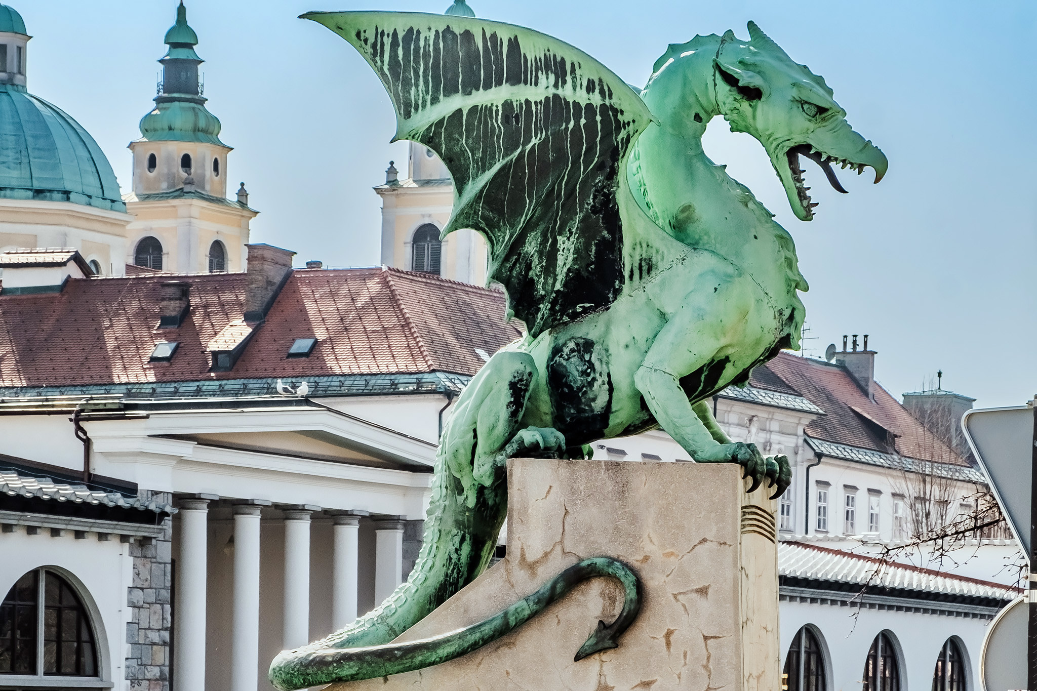 DSCF1287.jpg