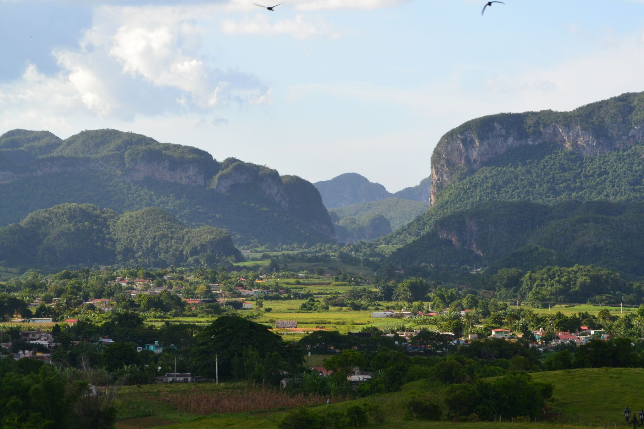 vinales.jpg